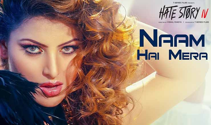 Naam Hai Mera Lyrics in Hindi