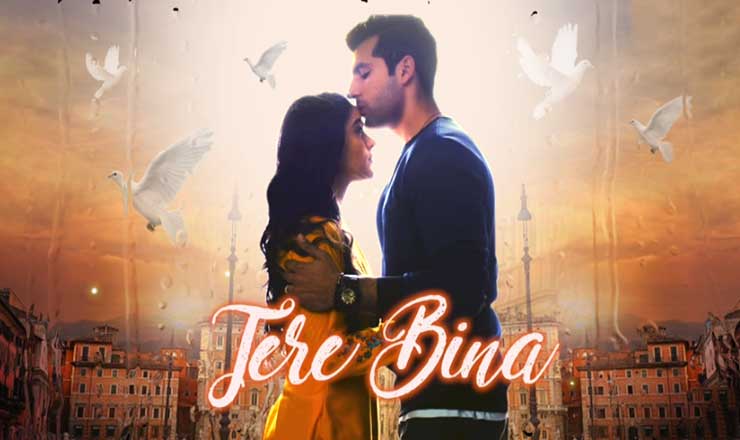 Tere Bina Lyrics
