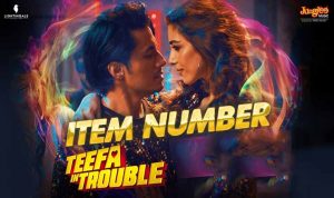 आइटम नंबर Item Number