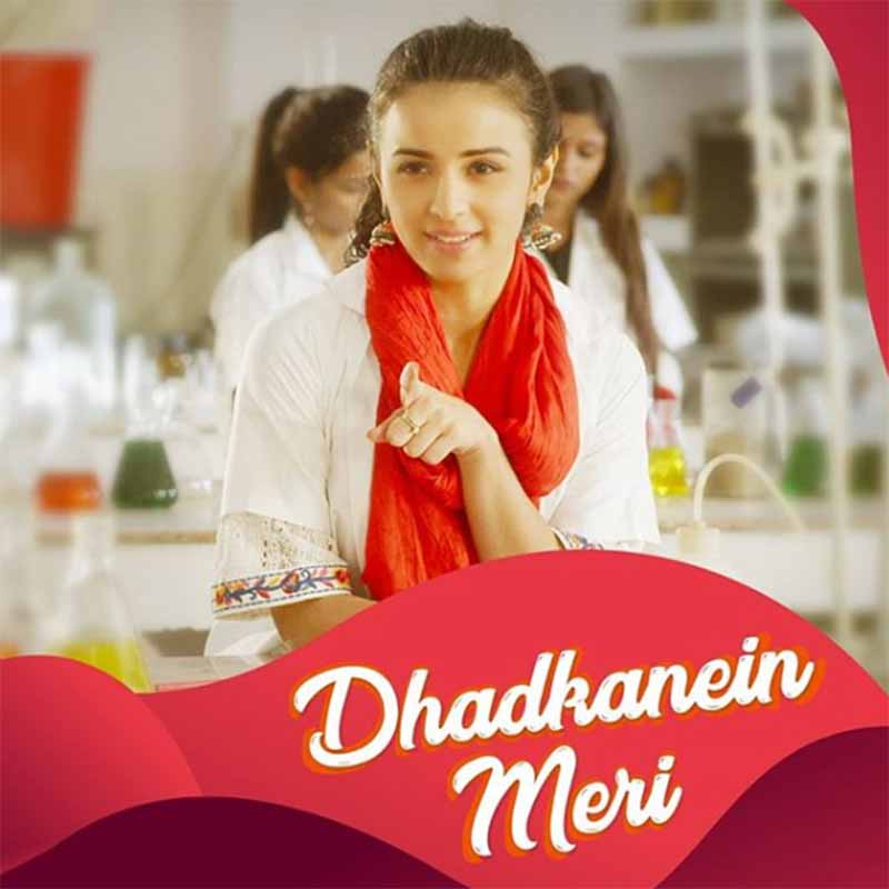 Dhadkanein Meri Lyrics