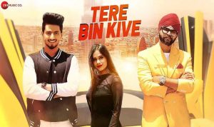 Tere Bin Kive Lyrics