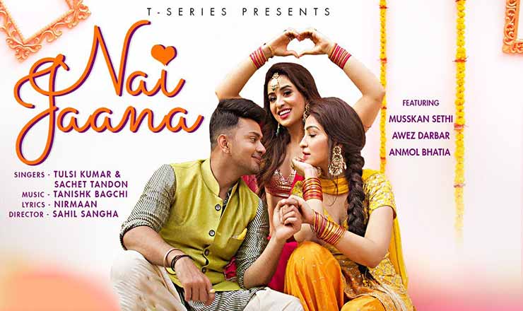 Nai Jaana Lyrics in Hindi