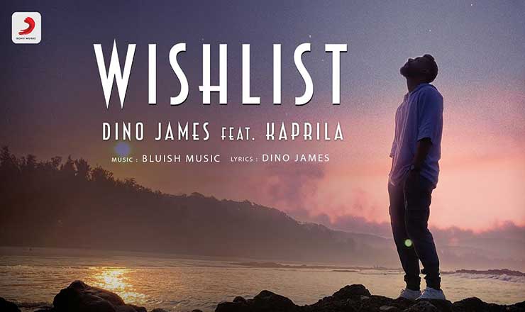 Wishlist Lyrics in Hindi
