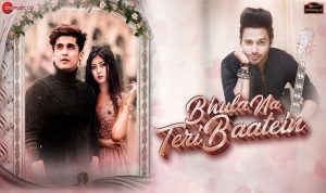 Bhula Na Teri Baatein Lyrics in Hindi