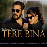 Tere Bina – Salman Khan, Jacqueline Fernandez