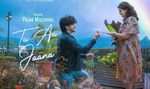 Tu Aa Jaana Lyrics in Hindi