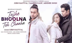 Tujhe Bhoolna Toh Chaaha