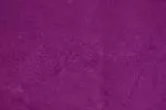 violet colour