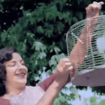 Panchi Banoo Urdi Phiroon