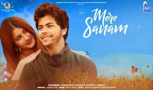 Mere Sanam lyrics in Hindi