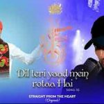 Dil Teri Yaad Mein Rota Hai