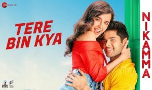 tere bin kya lyrics in Hindi