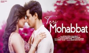 Teri Mohabbat Lyrics in Hindi