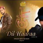 Dil Haaraa lyrics in Hindi