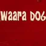Awaara Dogs