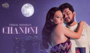 चाँदनी Chandni