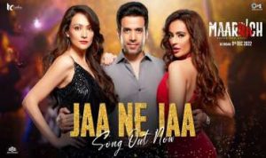 Jaa Ne Jaa Lyrics in Hindi