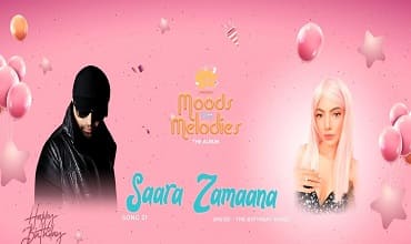 Saara Zaamana Lyrics in Hindi