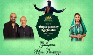 Galiyaan Hui Paraayi Lyrics in Hindi