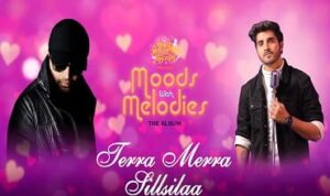 Tera Mera Silsila Lyrics in Hindi