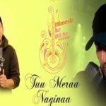Tu Mera Nagina Lyrics in Hindi