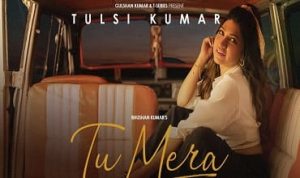 Tu Mera Lyrics in Hindi