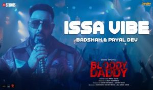 Issa Vibe Lyrics in Hindi