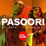Pasoori lyrics in Hindi Koi Mainu Na roke