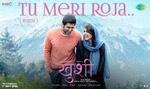Tu Meri Roja Lyrics in Hindi