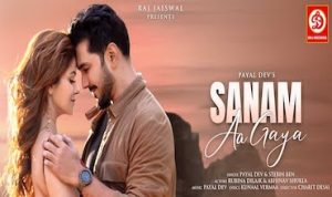 sanam aa gaya lyrics in Hindi