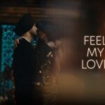 Feel My Love Lyrics in Hindi