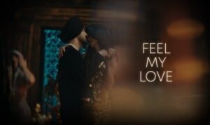 Feel My Love Lyrics in Hindi