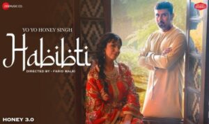 Habibti Lyrics in Hindi