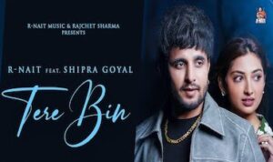 Tere Bin Mar Jaange Lyrics in Hindi