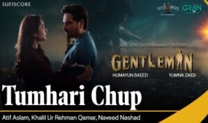 Tumhari Chup Lyrics in Hindi