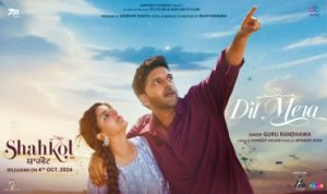 Dil Mera Lyrics in Hindi