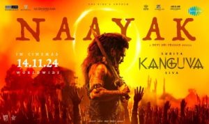 Naayak Lyrics in Hindi