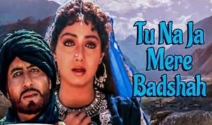 Tu Na Ja Mere Baadshah Lyrics in Hindi