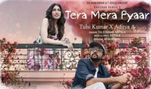 Tera Mera Pyaar Lyrics in Hindi