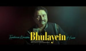 Tumhein Kaise Bhulayein Hum Lyrics in Hindi