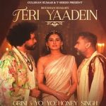 Teri Yaadein Lyrics in Hindi