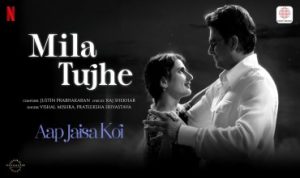 Mila Tujhe Lyrics in Hindi