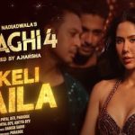 Akeli Laila Lyrics in Hindi