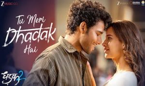 tu meri dhadak hai lyrics in Hindi