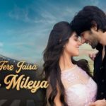 Naa Tere Jaisa Yaar Mileya Lyrics