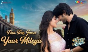 ना तेरे जैसा यार मिलिया Naa Tere Jaisa Yaar Mileya