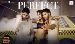 परफेक्ट Perfect
