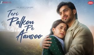 तेरी पलकों पे आँसू Teri Palkon Pe Aansoo