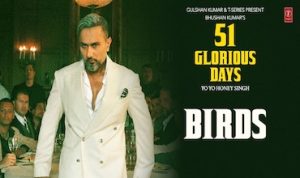 Birds Lyrics in Hindi