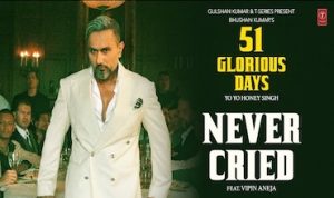 Never Cried Lyrics in Hindi